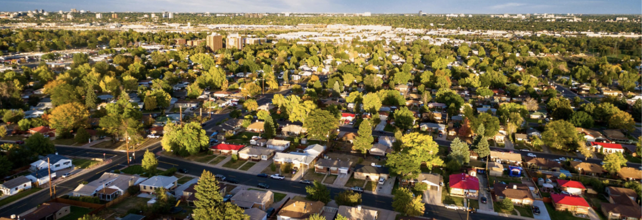 Aerial view of a sprawling neighbourhood with houses, yards and trees