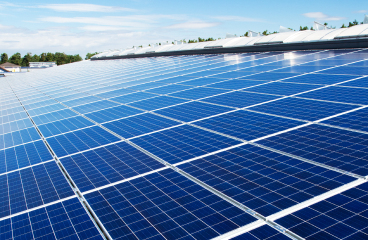 A huge grid of solar panels reflect sunlight.